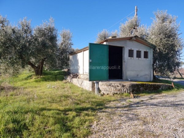 terreno agricolo in vendita a Montepulciano in zona Acquaviva