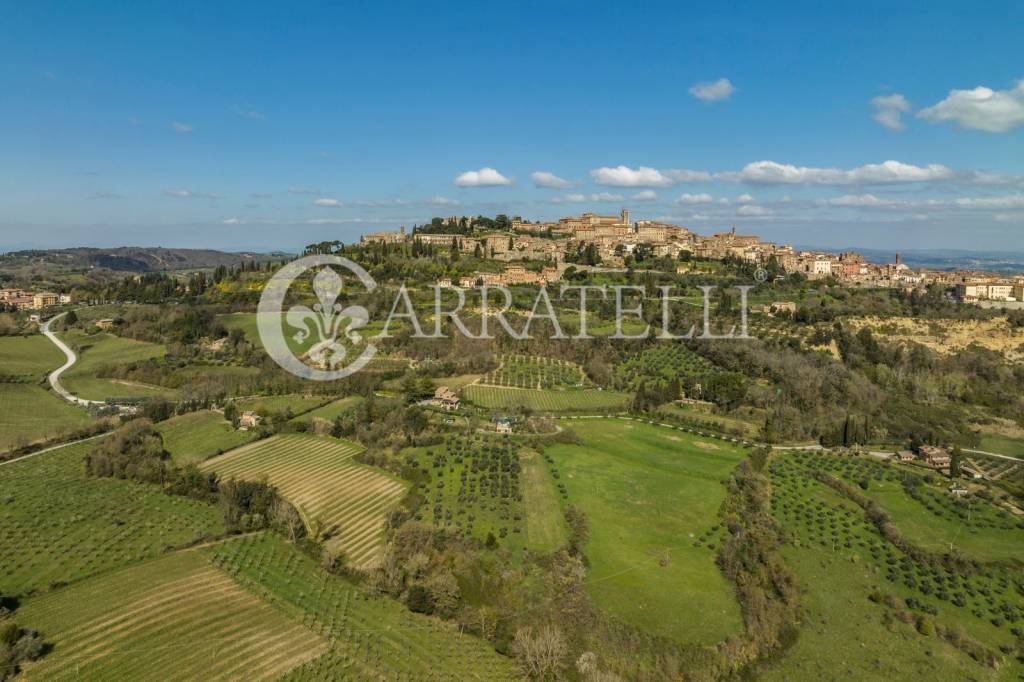 azienda agricola in vendita a Montepulciano in zona Gracciano