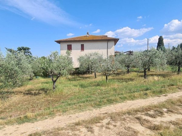 terreno agricolo in vendita a Montepulciano