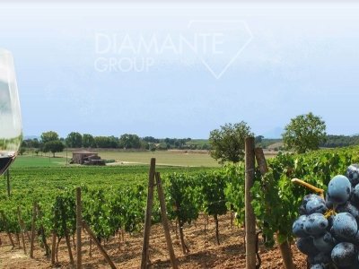 azienda agricola in vendita a Montepulciano