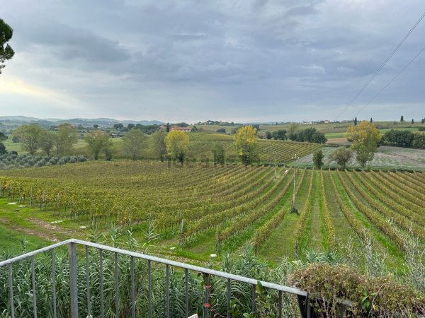 casa indipendente in vendita a Montepulciano