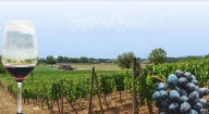 appartamento in vendita a Montepulciano