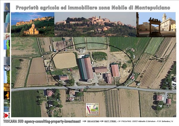 azienda agricola in vendita a Montepulciano