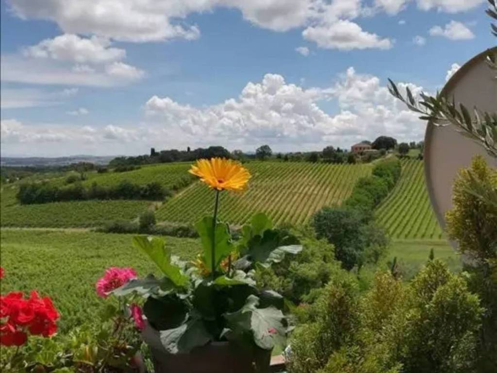appartamento in vendita a Montepulciano in zona Gracciano