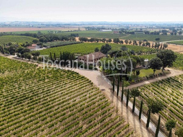 azienda agricola in vendita a Montepulciano