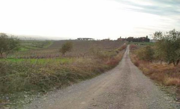 azienda agricola in vendita a Montepulciano