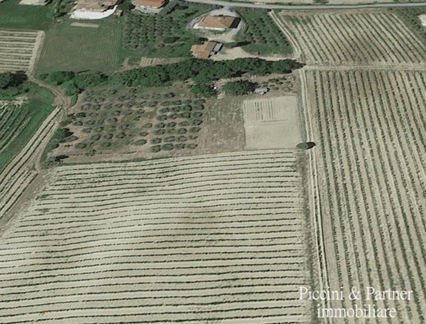 appartamento in vendita a Montepulciano in zona Ascianello