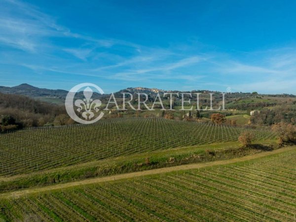 terreno agricolo in vendita a Montepulciano