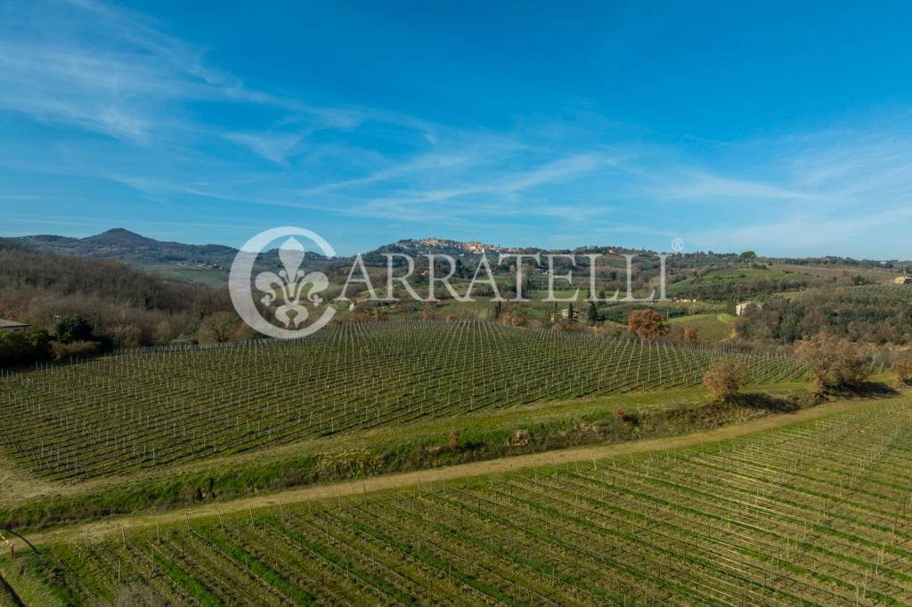 terreno agricolo in vendita a Montepulciano