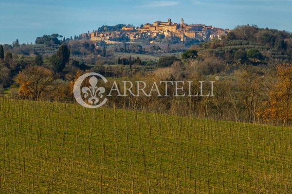 terreno agricolo in vendita a Montepulciano