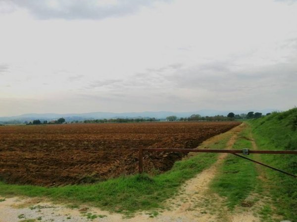 azienda agricola in vendita a Montepulciano
