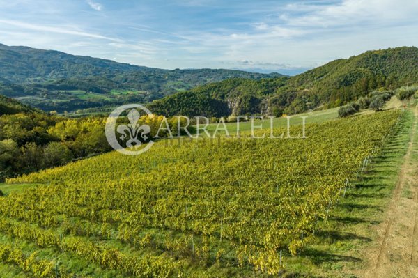 rudere in vendita a Montepulciano