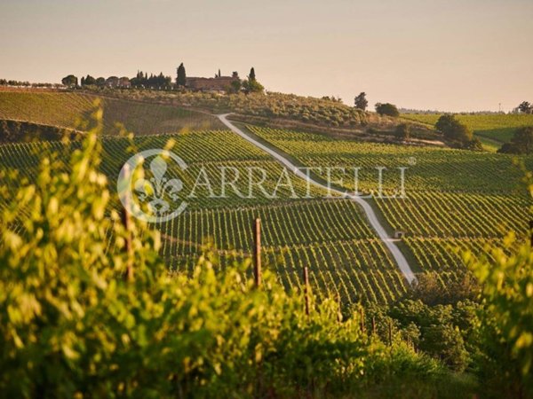 negozio in vendita a Montepulciano