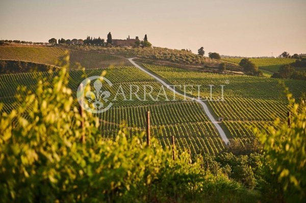 azienda agricola in vendita a Montepulciano