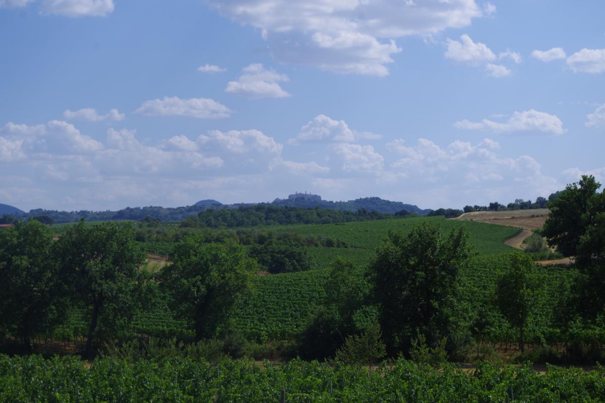 casa indipendente in vendita a Montepulciano