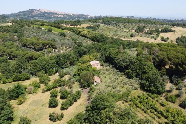 capannone in vendita a Montepulciano