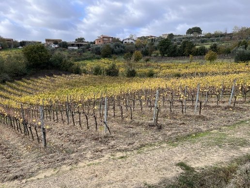 casale in vendita a Montepulciano