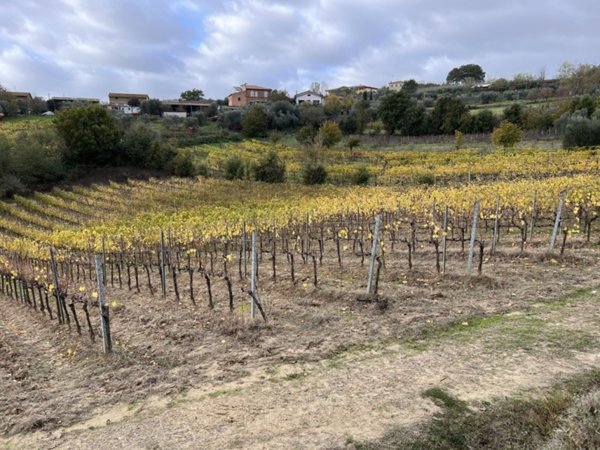 casale in vendita a Montepulciano