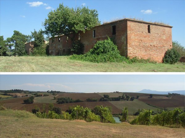 terreno agricolo in vendita a Montepulciano in zona Valiano