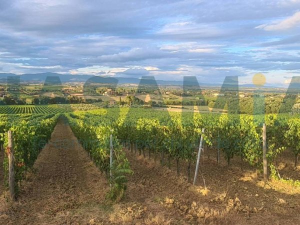 negozio in vendita a Montepulciano