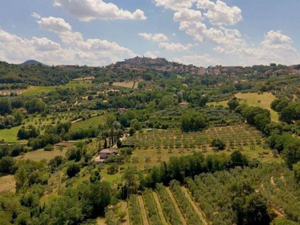 negozio in vendita a Montepulciano