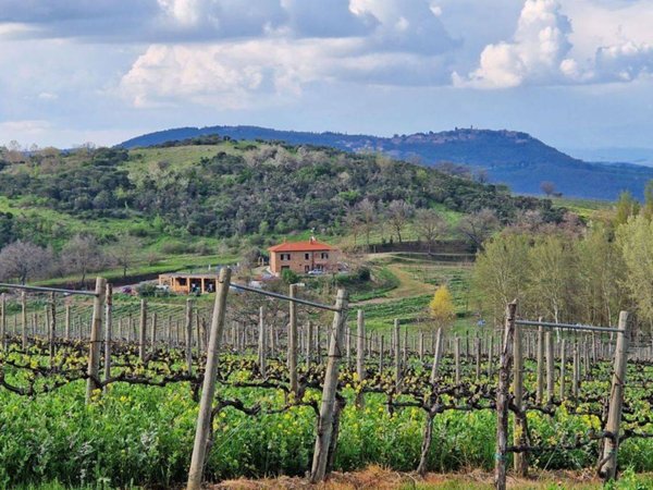 casa indipendente in vendita a Montepulciano