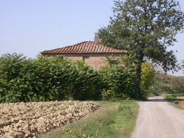 casa indipendente in vendita a Montepulciano in zona Acquaviva