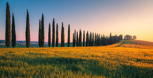 casale in vendita a Montepulciano