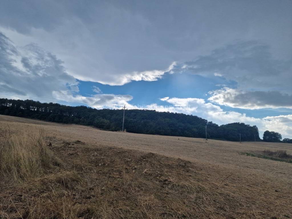 terreno agricolo in vendita a Montepulciano in zona Montepulciano Stazione