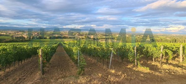 casale in vendita a Montepulciano