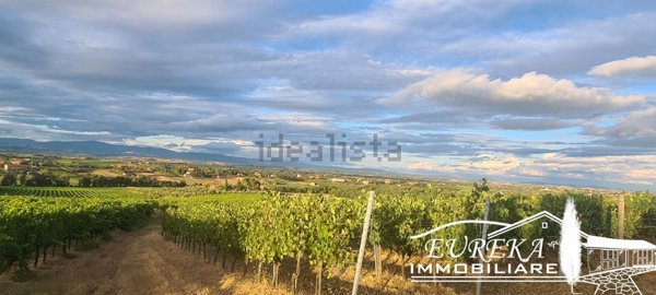 azienda agricola in vendita a Montepulciano