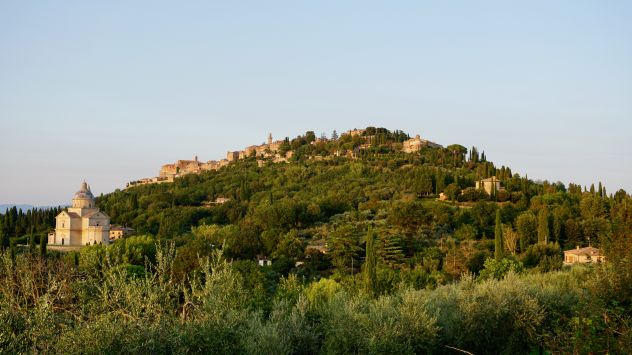 terreno agricolo in vendita a Montepulciano