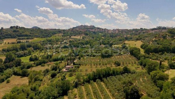 negozio in vendita a Montepulciano