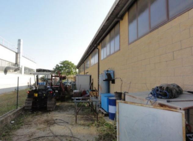 pentavano in vendita a Montepulciano in zona Gracciano