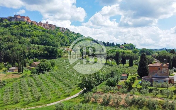 azienda agricola in vendita a Montepulciano