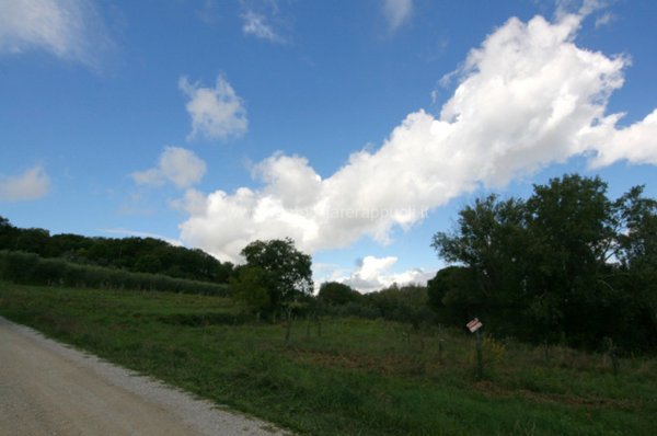 terreno agricolo in vendita a Montepulciano