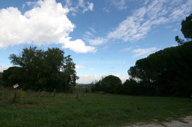 terreno agricolo in vendita a Montepulciano