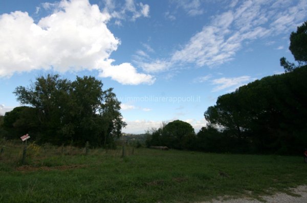 terreno agricolo in vendita a Montepulciano