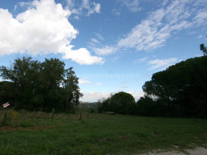 terreno agricolo in vendita a Montepulciano