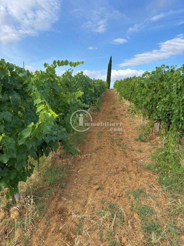 casa indipendente in vendita a Montepulciano