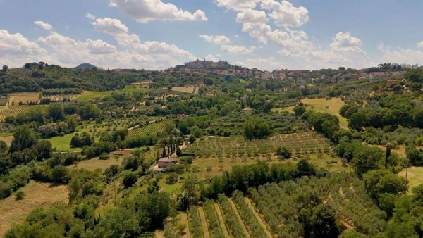 locale commerciale in vendita a Montepulciano