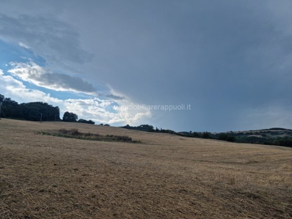 terreno agricolo in vendita a Montepulciano