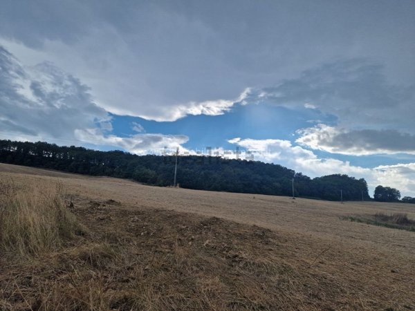 terreno agricolo in vendita a Montepulciano