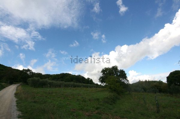 terreno agricolo in vendita a Montepulciano