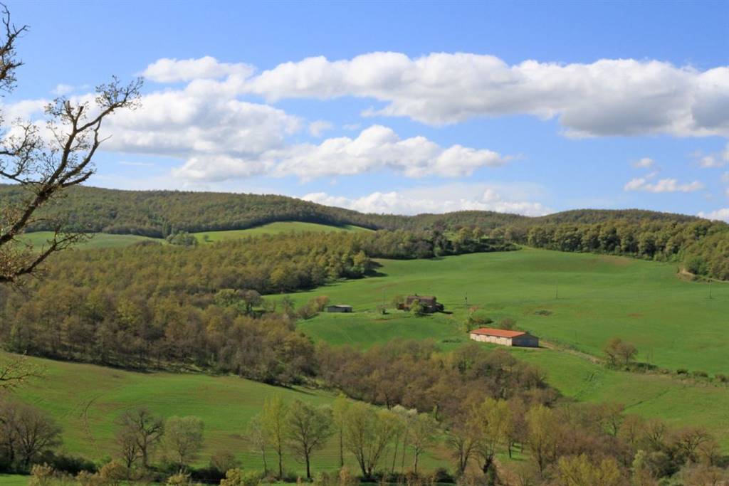 azienda agricola in vendita a Montepulciano