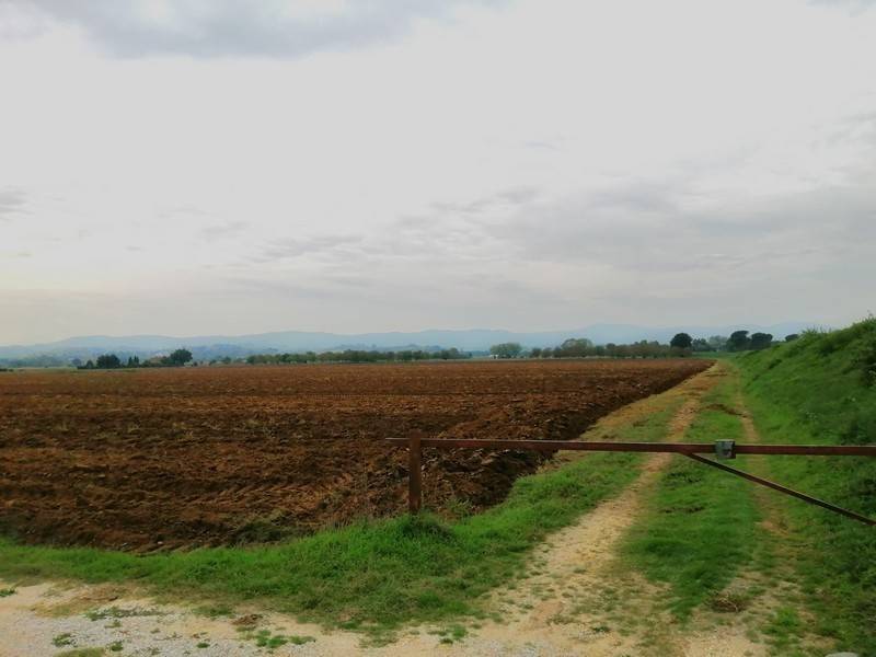 terreno agricolo in vendita a Montepulciano
