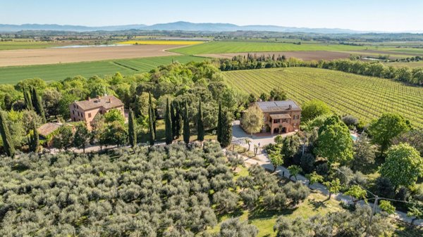 azienda agricola in vendita a Montepulciano