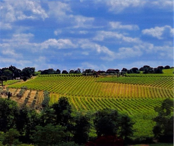 casale in vendita a Montepulciano