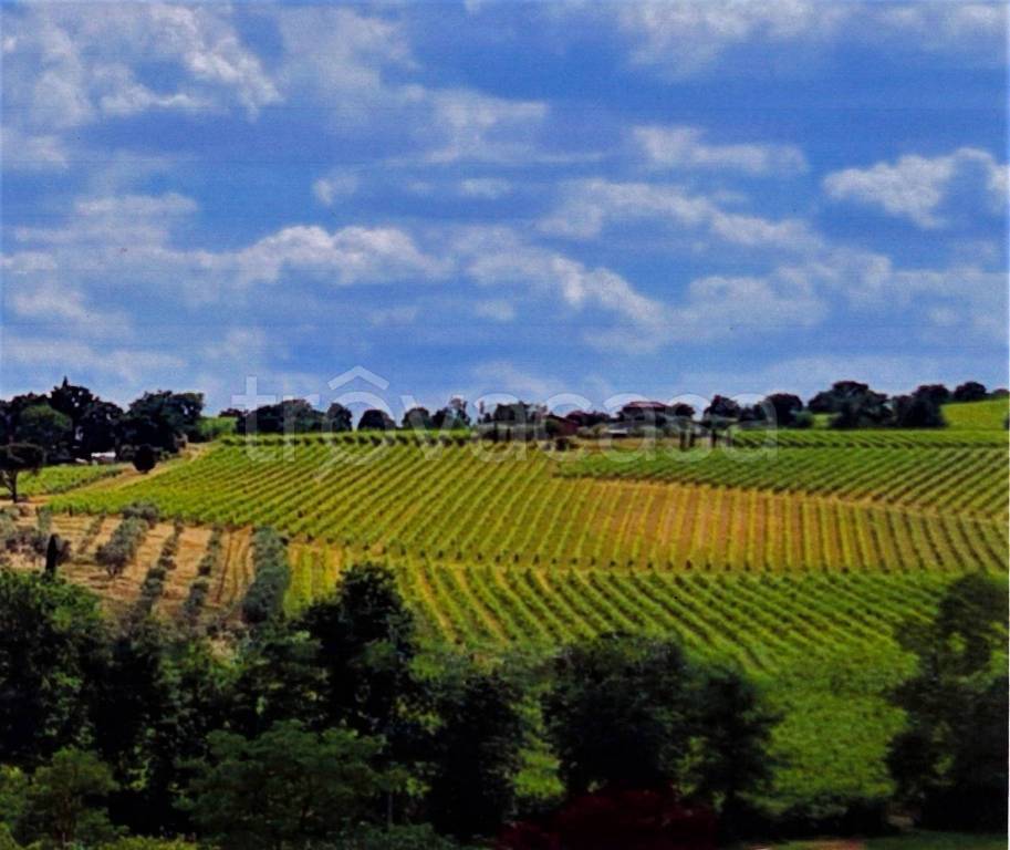 ufficio in vendita a Montepulciano