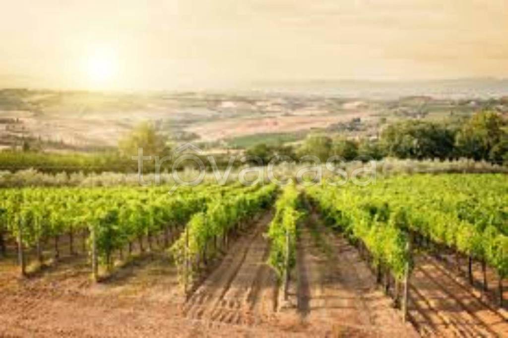 ufficio in vendita a Montepulciano